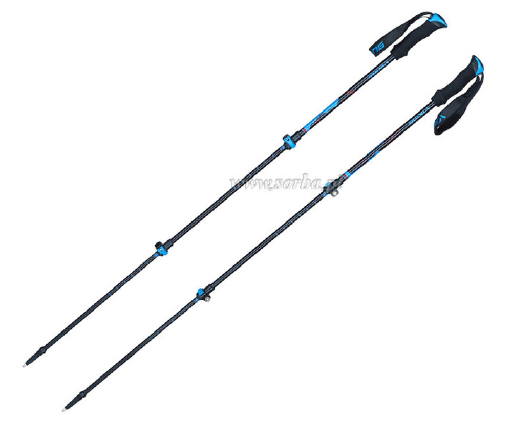 Kijki NORDIC trekingowe Viking Lost Peak